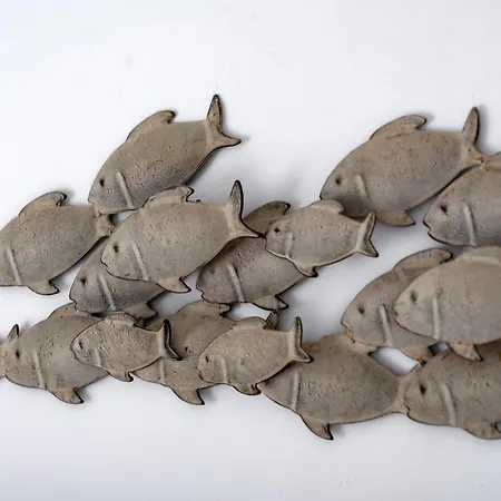 Aqualung * Καμάρι