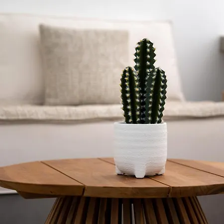 Aqualung Καμάρι